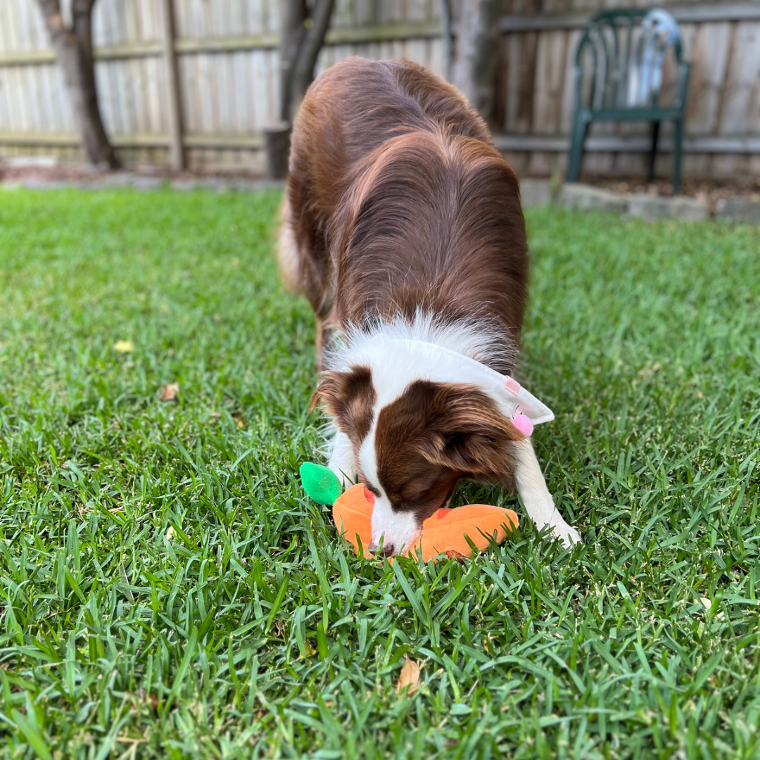 Easter Snuffle Carrot