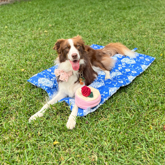 Indie Boho Dog Travel & Training Mats