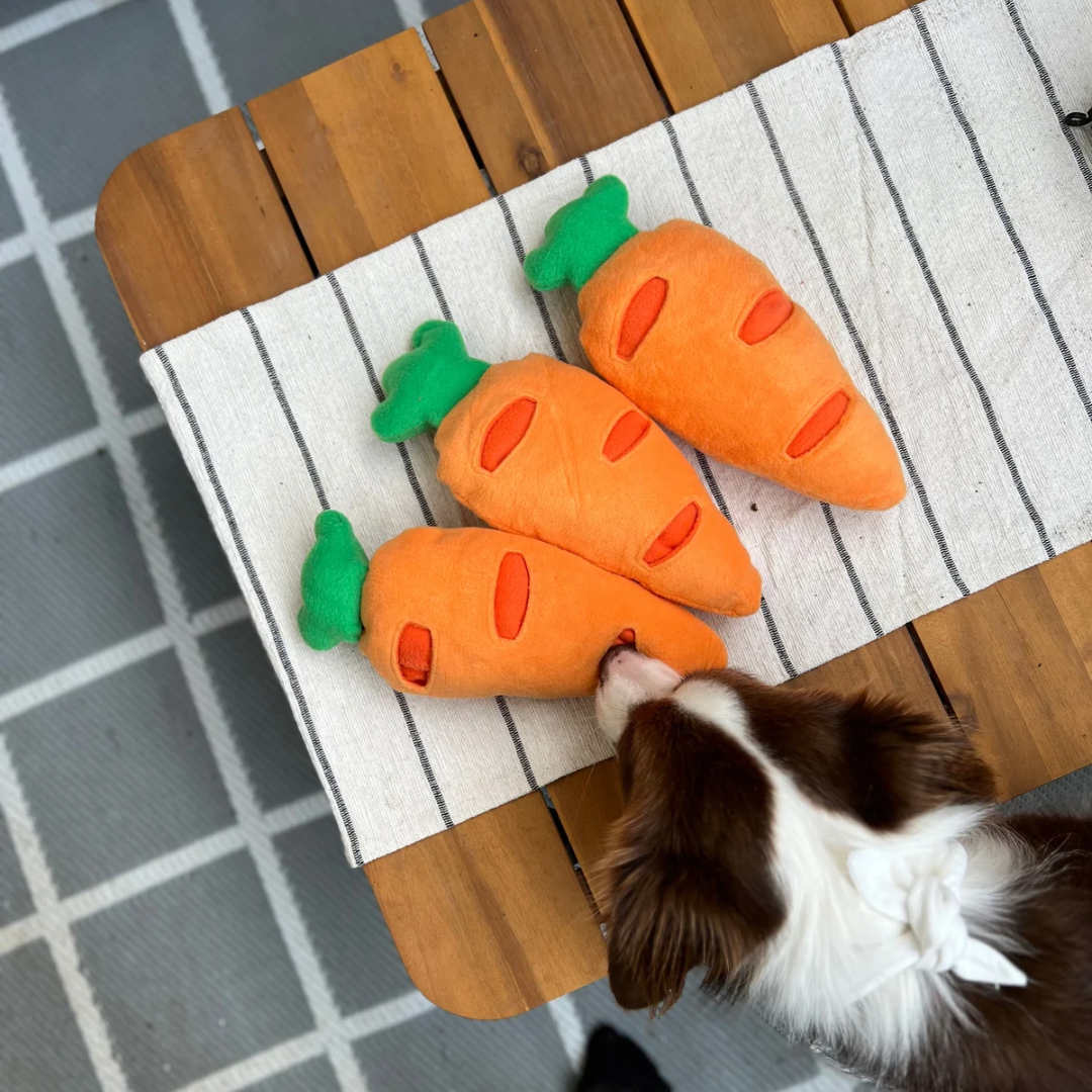 Easter Snuffle Carrot