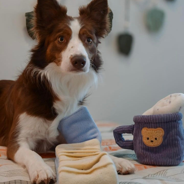 Snuffle Latte Cup