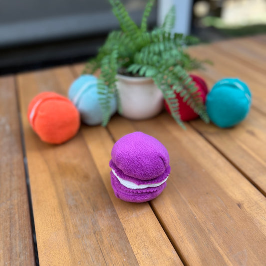Mini Macaron purple