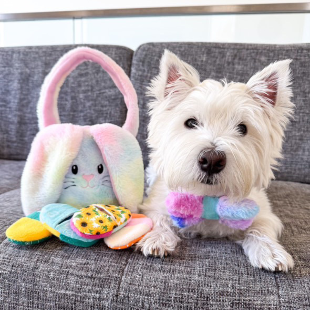 Easter Bunny Basket