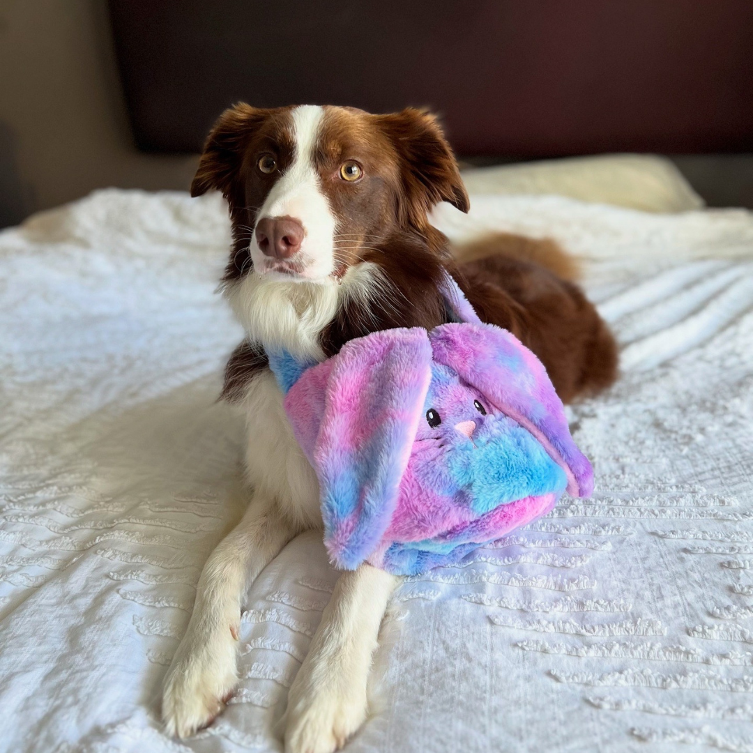 Easter Bunny Basket