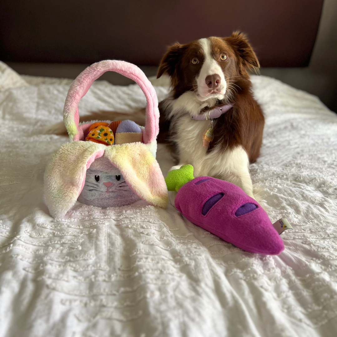 Easter Snuffle Carrot