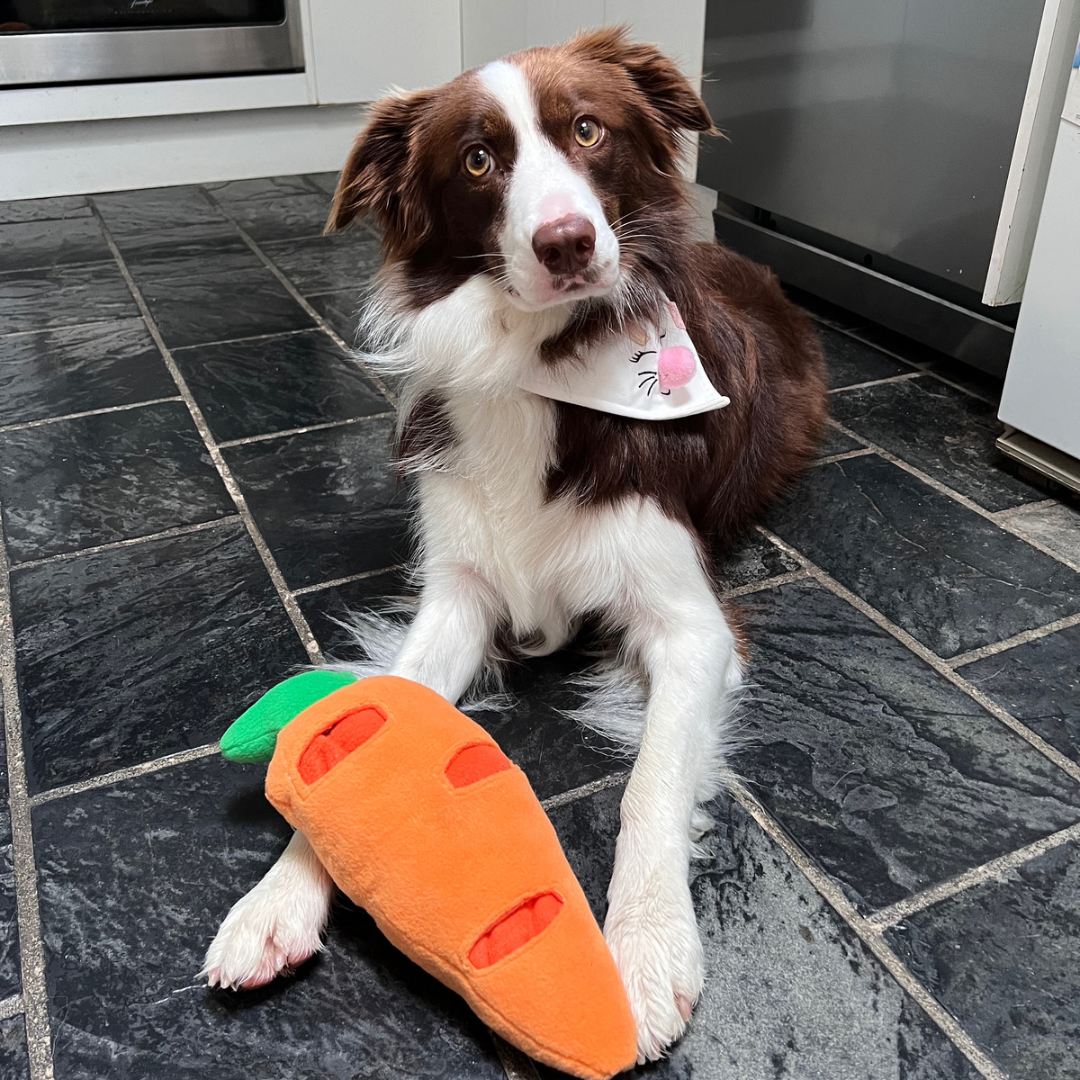 Easter Snuffle Carrot