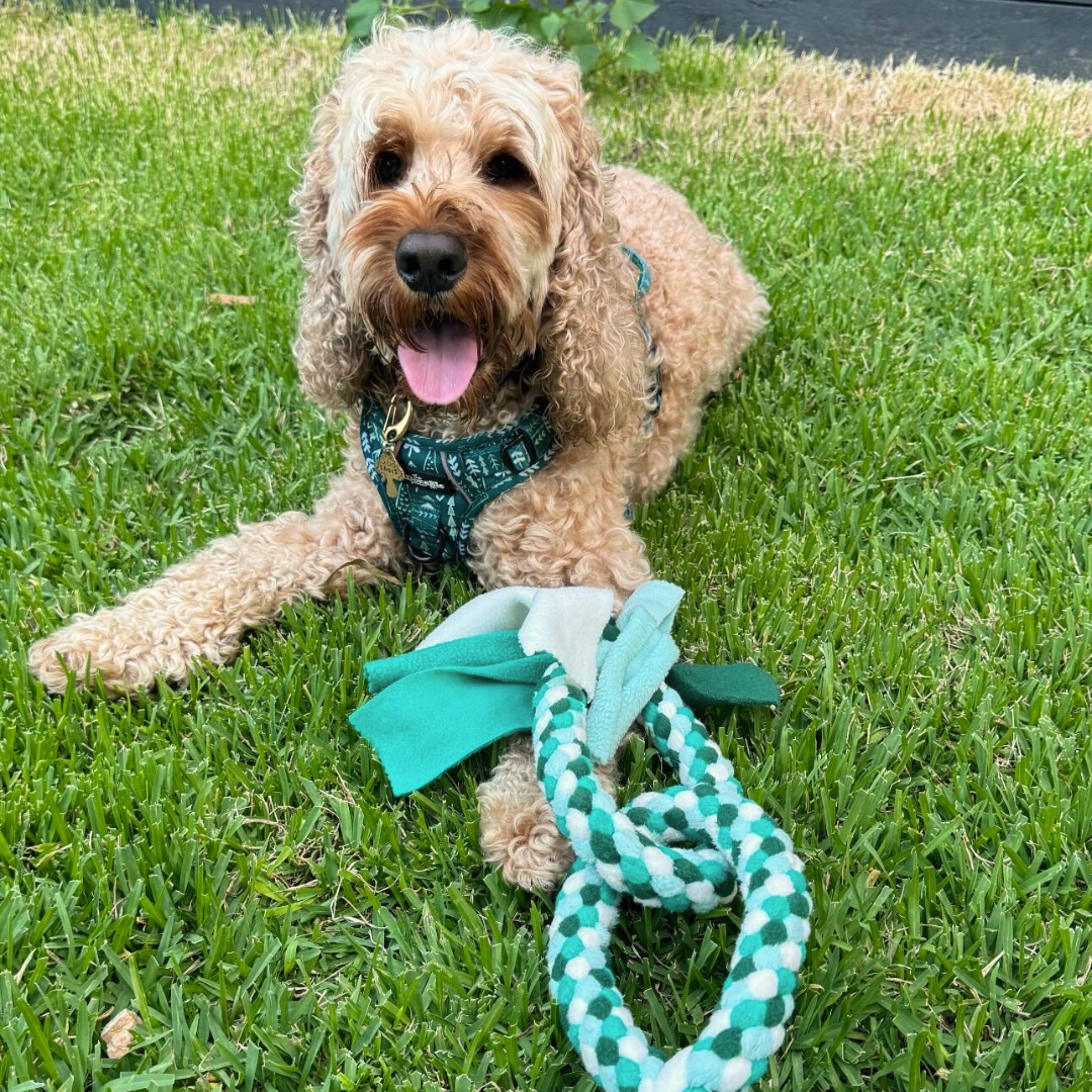 Custom Pretzel Tug Rope